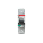 ABB - HLS-Sicherungsautomat 1-polig Charakteristik D Bemessungsstrom 16A 25kA/400VAC