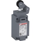 ABB - Standard-Positionsschalter Kunststoff-Gehäuse grau IP65 Rollenhebel mit Polyamid-Rolle