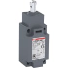 ABB - LS45P13B11 Positionsschalter Kunststoff-Gehäuse grau IP65