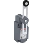 ABB - Standard-Positionssch. Kunststoffg. IP65 Verstellb. Polyam-Rollenschw.hebel D=22