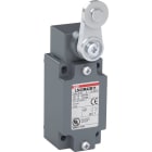 ABB - LS45M42B11 Positionsschalter Metallgehäuse IP66