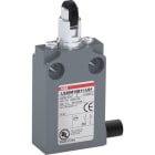 ABB - Positionsschalter Metall-Gehäuse IP67 Kunstst.-Rollendr.bolzen quer Polyac