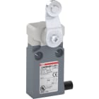 ABB - Positionsschalter Metall-Gehäuse IP67 Stahl-Rollenschwenkhebel verzinkt