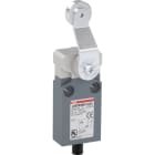 ABB - Positionsschalter Metall-Gehäuse IP67 Stahl-Rollenschwenkhebel verzinkt