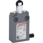 ABB - Positionsschalter Kunststoff-Geh. grau IP67 Kunstst.-RollendruckbolzenPolyacetal