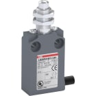 ABB - Positionsschalter Kunststoff-Gehäuse grau IP67 Messingdruckbolzen vernickelt