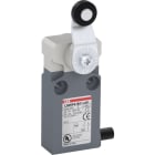 ABB - Positionsschalter Kunststoff-Geh. grau IP67 Kunstst.-Rollenschwenkhebel Polyac