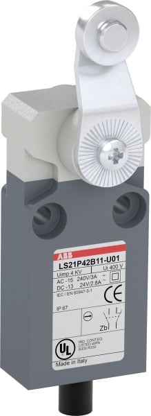 ABB - Positionsschalter Kunststoff-Gehäuse grau IP67 Stahl-Rollenschwenkhebel verzinkt