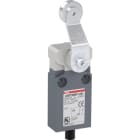 ABB - Positionsschalter Kunststoff-Geh. grau IP67 Metall-Rollenschwenkhebel verzinkt