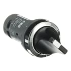ABB - C2SS2-30B-10 Wahlschalter, schwarz, 2 Positionen, 1 Schließer