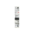 ABB - Automat - EX61NR - 1P+N - 20 A - C(230 V AC) 6 kA