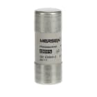 ABB - Sicherung 22x58mm für E90/125