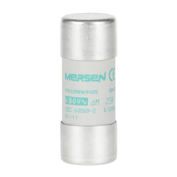 ABB - Zylindrische Sicherung 25A, 22x58mm