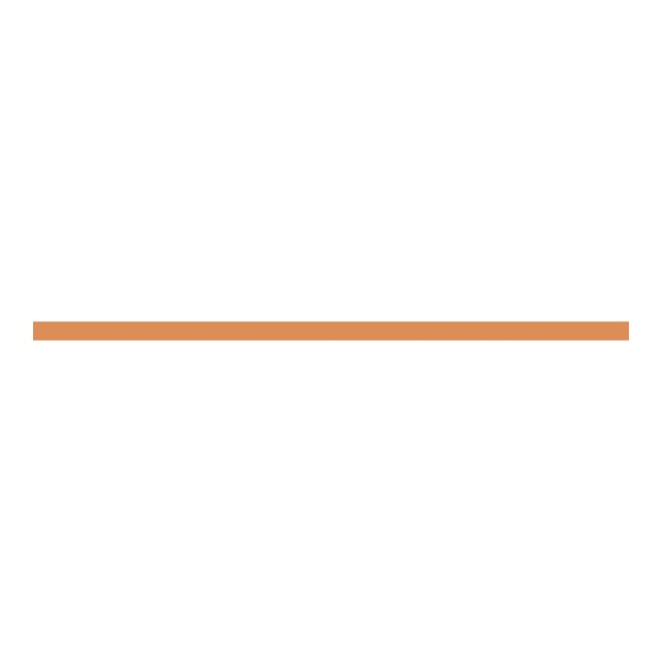 ABB - CU-Schiene 30x10mm, L:945mm ZX2079