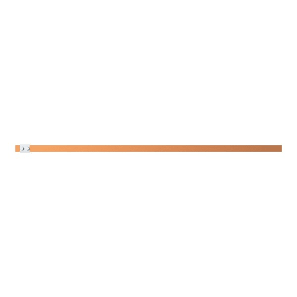 ABB - Cu-Schiene 30x10mm 5FB V1, A1 ZX2252