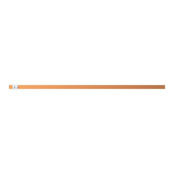 ABB - Cu-Schiene 30x10mm 5FB V2, A1 ZXM2258