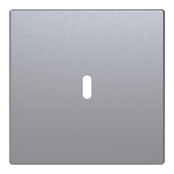 BUSCH-JAEGER - Zentralscheibe für USB C Netzteil-Einsatz 65W alusilber - Plattform 63