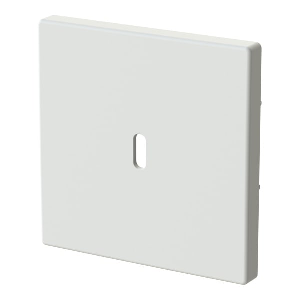 BUSCH-JAEGER - Zentralscheibe für USB C Netzteil-Einsatz 65W studioweiß matt - Plattform 63