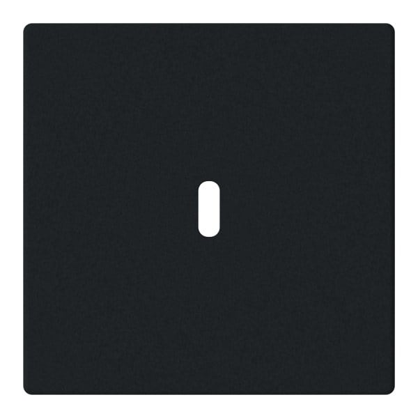 BUSCH-JAEGER - Zentralscheibe für USB C Netzteil-Einsatz 65W schwarz matt - Plattform 63