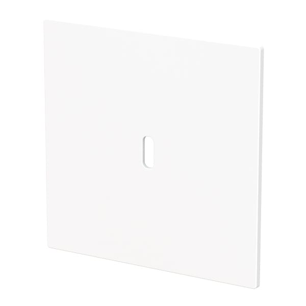 BUSCH-JAEGER - Zentralscheibe für USB C Netzteil-Einsatz 65W studioweiß matt - art linear