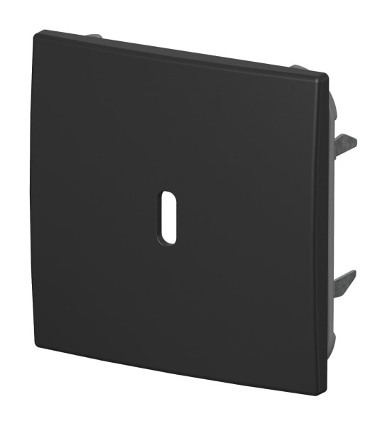 BUSCH-JAEGER - Zentralscheibe für USB C Netzteil-Einsatz 65W schwarz matt - balance SI