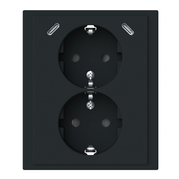 BUSCH-JAEGER - USB-C Doppel-STD AP 202EUJRB2USBC-885
