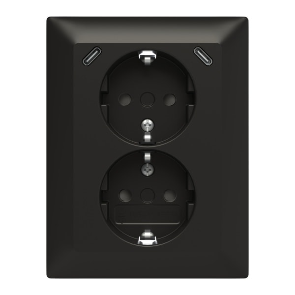 BUSCH-JAEGER - USB-C Doppel-STD AP 202EUJRB2USBC-915
