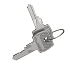 LEGRAND - 2 Ersatzschlüssel Nr. 2433A, für Legrand Schaltschränke Atlantic und Marina