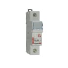 LEGRAND - Legrand Sicherungshalter 1P/10X38