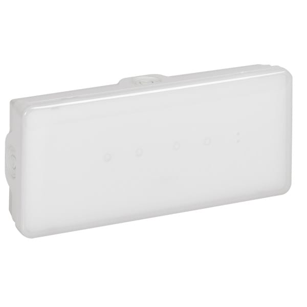 LEGRAND - B65 200LM 1 Stunde Dauer und Bereitschaftsschaltung IP65