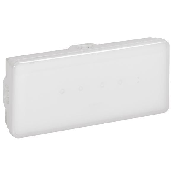 LEGRAND - B65 100LM 3 Stunde Dauer und Bereitschaftsschaltung IP65