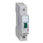 LEGRAND - Meldeleuchte TX3, LED, 1-fach (Grün ), 230 VAC, 1TE