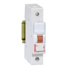 LEGRAND - Meldeleuchte TX3, LED, 1-fach (Orange ), 230 VAC, 1TE