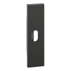 BTICINO - LivingNow 1-modulige Abdeckung für HDMI-Anschlussdose in der Farbe Black