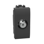 LEGRAND - LivingLight BNC-F Anschlussdose 1-modulig in der Farbe ANTHRAZIT