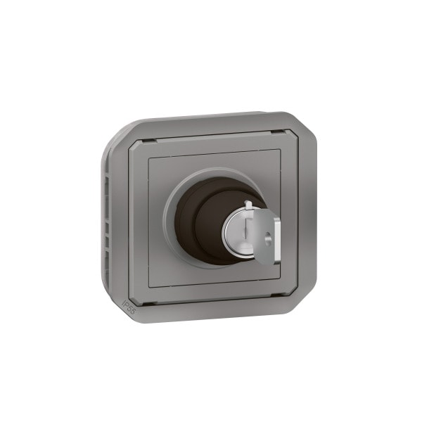 LEGRAND - Plexo New Einsatz RONIS Schlüsselschalter 2 Pos, Schraubklemmen, IP55 IK08, Grau