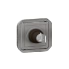 LEGRAND - Plexo New Einsatz RONIS Schlüsselschalter 2 Pos, Schraubklemmen, IP55 IK08, Grau