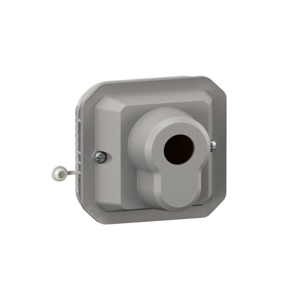 LEGRAND - Plexo New Einsatz RONIS Schlüsselschalter 3 Posti, Schraubklemm, IP55,IK08, Grau