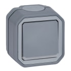 LEGRAND - Plexo New FRAP 2poliger Schalter Kontroll 10 AX, Steckklemmen, IP55, IK08, Grau