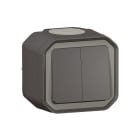 LEGRAND - Plexo New FRAP Doppelwechselschalter 10AX/Taster 10A SL , IP55,IK08, Anthrazit