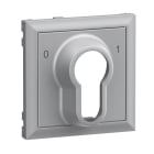 LEGRAND - SEANO Abdeckung für DIN-Schlüsselschalter 0 – 1, Farbe: Aluminium lackiert