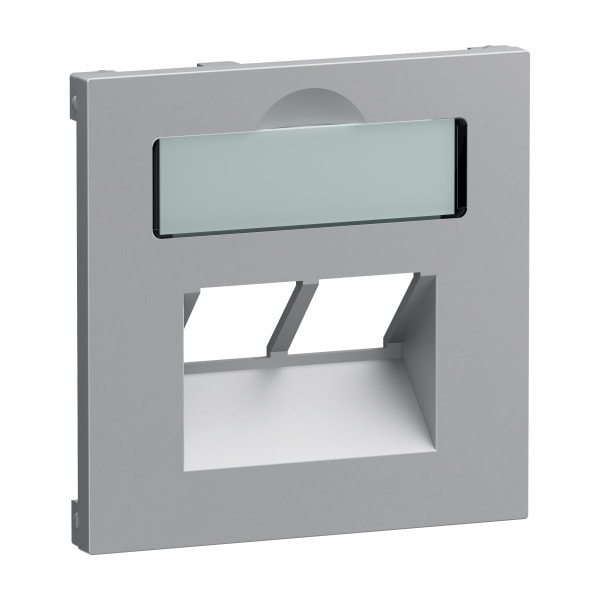 LEGRAND - SEANO Abdeckung 2x RJ45 für Datendosen Fremdfabrikate, Farbe: Aluminium lackiert