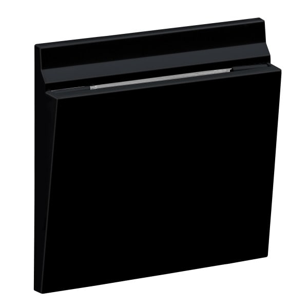 LEGRAND - SEANO Abdeckung mechanischer Hotel-Card-Schalter, Farbe: Schwarz lackiert
