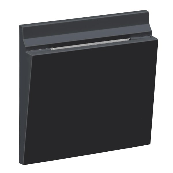 LEGRAND - SEANO Abdeckung mechanischer Hotel-Card-Schalter, Farbe: Anthrazit lackiert