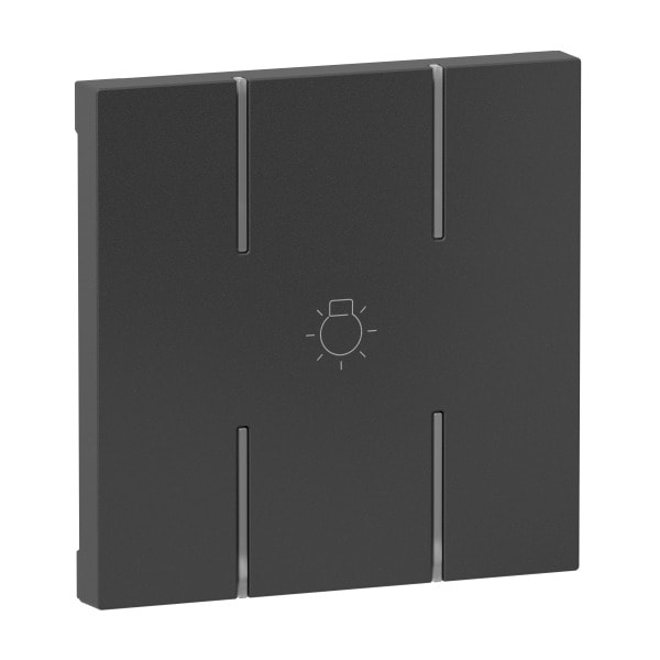 LEGRAND - Seano 2-modulige Tastenabdeckung MyHome mit Symbol ''Licht'', Farbe Anthrazit