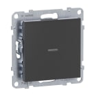 LEGRAND - Seano with Netatmo Schalter/Dimmer mit Neutralleiter, Farbe: Anthrazit