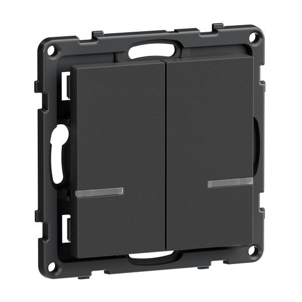 LEGRAND - Seano with Netatmo Wandsender 2-Fach Farbe: Anthrazit