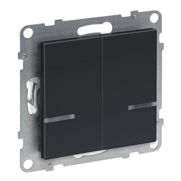LEGRAND - Seano with Netatmo Serienschalter 2 x 250W pro Kanal Farbe: Anthrazit