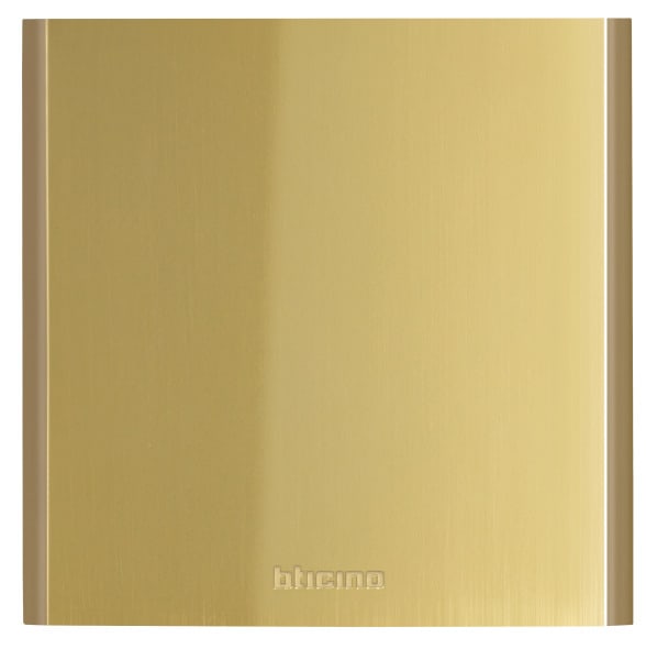 BTICINO - Blindmodul für Türstation LINEA 5000, Abm. (HxB): 138 x 139 mm, Farbe: Gold