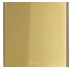 BTICINO - Blindmodul für Türstation LINEA 5000, Abm. (HxB): 138 x 139 mm, Farbe: Gold